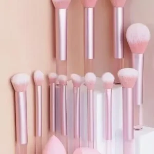 Brown Pink Black Women’s 12 Pieces Customize Cosmetic Beauty Tools Makeup Brushes Sets for Sensitive Skin