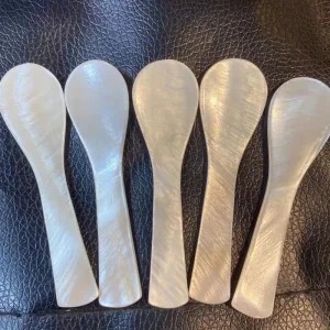 Customizable Logo 7cm Natural White Shell Spoon for Caviar Face Masks Coffee and Ice Cream