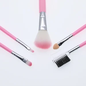 Factory Direct Sales Eyebrow Face Beauty Cosmetic Brush 5 Pcs Makeup Brush Set