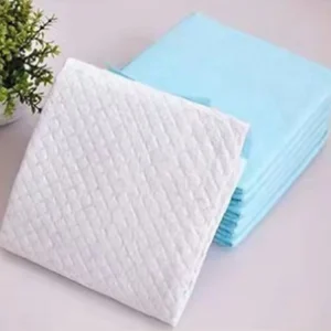 Free Delivery OEM ODM Customized Private Label Disposable Adult Nursing Pads for Elderly Drop Shipping Free Sample