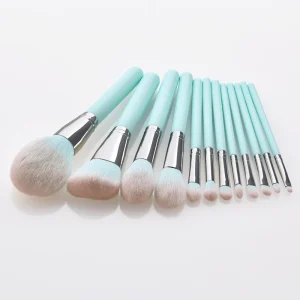 Full Set of Makeup Tools 12 Pcs Color Makeup Brush Set