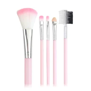 Makeup Brush Set Premium 5 Piece Pink Blue Eyeshadow Lip Blush Mascara Brushes Portable Cosmetic Kit