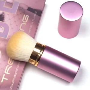 Single Makeup Brush Set with Retractable Synthetic Hair Pink Color Face Use Metal Handle
