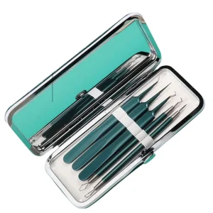 Stainless Steel 5pcs Blackhead Remover Needle Kit Professional Skin Care Tool Low MOQ Beauty Personal Care Product